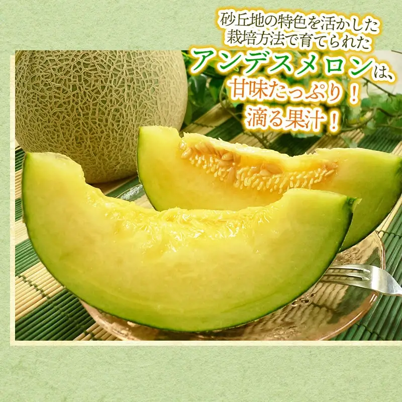 【令和8年産先行予約】 アンデスメロン 秀品 約5kg (3～5玉) 山形県鶴岡市産　株式会社 元青果　| メロン めろん フルーツ 果物 くだもの 夏 旬 デザート 産地直送 山形 鶴岡 庄内 東北 人気 おすすめ 美味しい 国産 お取り寄せ 返礼品