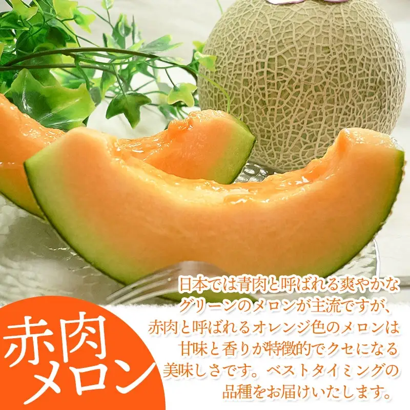 【令和8年産先行予約】 庄内砂丘赤肉メロン 秀品 大玉 約5kg (3～4玉) 山形県鶴岡市産　株式会社 元青果　| メロン めろん フルーツ 果物 くだもの 夏 旬 デザート 産地直送 山形 鶴岡 庄内 東北 人気 おすすめ 美味しい 国産 お取り寄せ 返礼品