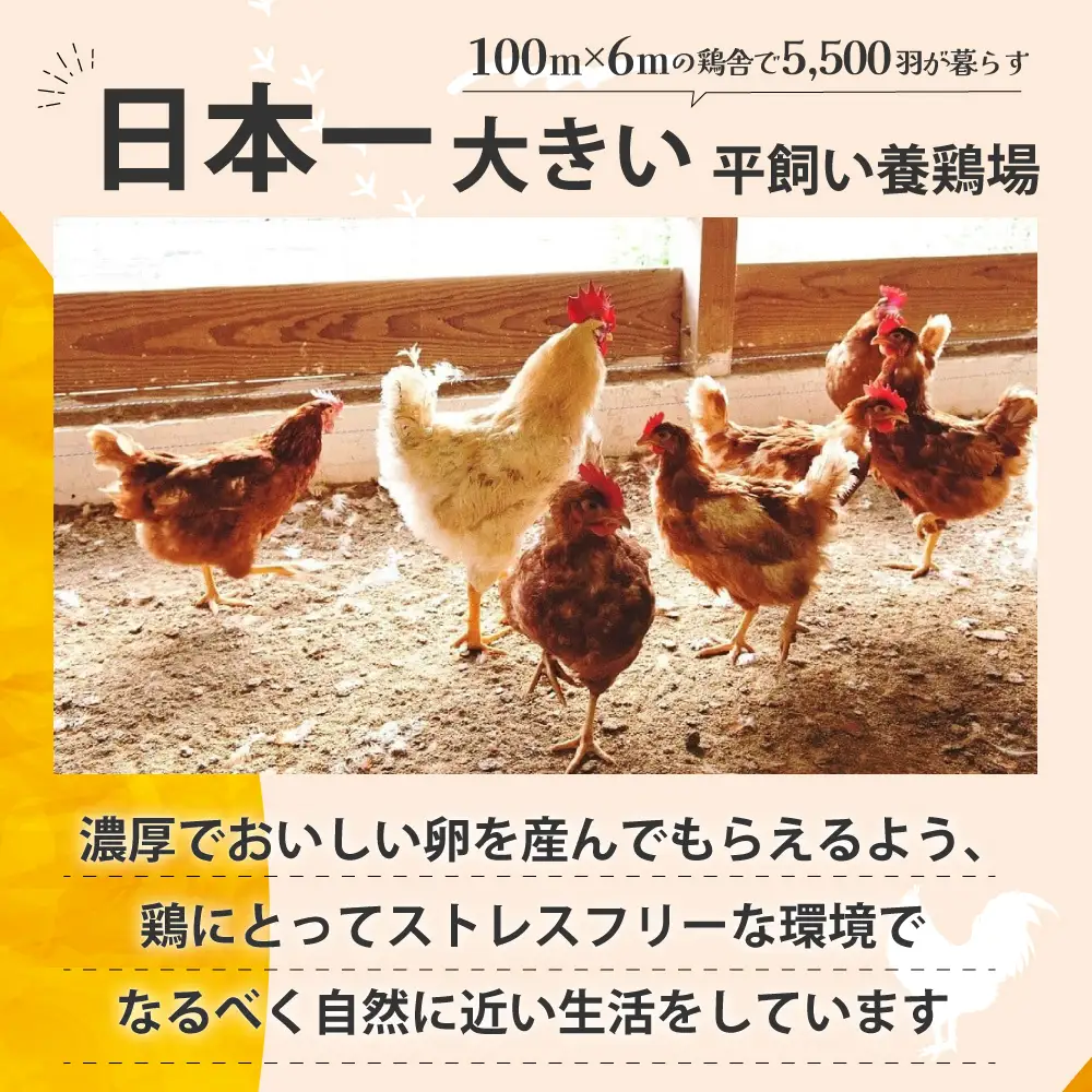 のびのび育ち平飼い「有精たまご」卵30個 卵