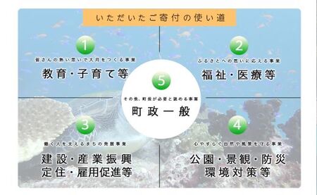 高知県大月町への応援寄付金5万円　【返礼品なし】