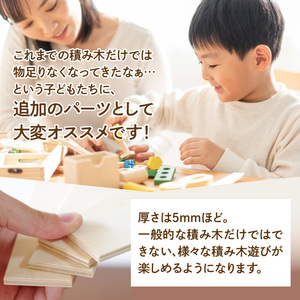 遊びの世界が広がる積み木！プレート積み木スタンダードセット [h007]