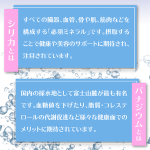 シリカ＆バナジウム強炭酸水PET500ml×1箱(24本入)友桝飲料  炭酸水 