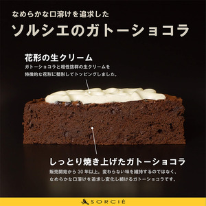 【着日指定可】ガトーショコラ クラシック 6号 【直径17cm：6～8人分】 | デザート ケーキ 着日指定 誕生日 ガトーショコラ ガトーショコラ ガトーショコラ ガトーショコラガトーショコラ ガトーショコラ【IT0081】