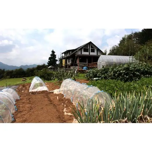 自分で野菜を作り収穫できる貸し農園【019-003】