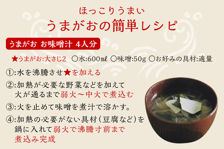うまがお 天然馬頭鯛（マトウダイ）のうま味だし 2本 調味料 濃縮うま味だし 簡単調理 魚介 だし マトウダイ 【145_2057】