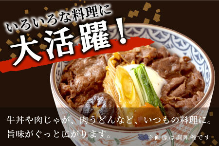 【8月発送】飛騨牛 切り落とし 600g 牛肉 和牛 肉 切落し ブランド牛 国産 10000円