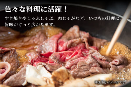 【9月発送】飛騨牛 4等級以上 切り落とし 560g 牛肉 和牛 肉 切落し ブランド牛 4等級 5等級 国産 10000円