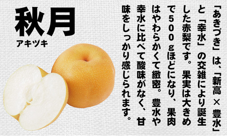 【先行予約】あきづき「秋月」 梨 5kg 親子三世代 農家 合六果樹園 梨 果物 フルーツ B140-017 