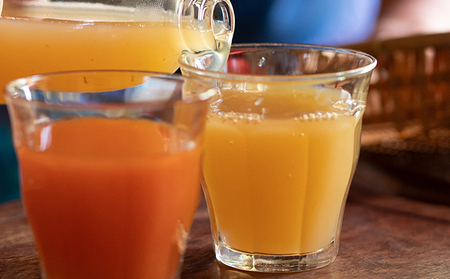 【信州産】りんごの個性にびっくり！ジュース6種セット（1,000ml×6本） 果実飲料 ミックスジュース りんごジュース 飲み比べ サンつがる サンふじ 王林 ゆず 人参 