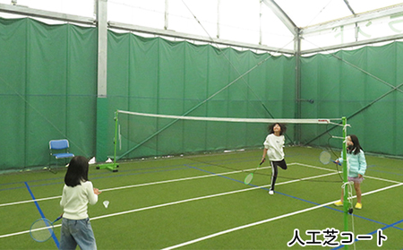 チケット ふれあい健康アイランド 全館 貸切 プラン 平日 利用券 健康維持 運動施設 VR 人工芝コート カラオケ 遊び 運動 施設貸切 使い放題 家族連れ ファミリー 