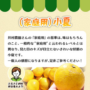 訳あり 家庭用 小夏 ５kg 日向夏 みかん ミカン 柑橘 フルーツ 果物 果実 こなつ コナツ ﾆｭｰｻﾏｰｵﾚﾝｼﾞ おいしい 美味しい ワケアリ 自宅用 ご家庭用 井村農園【R01492】