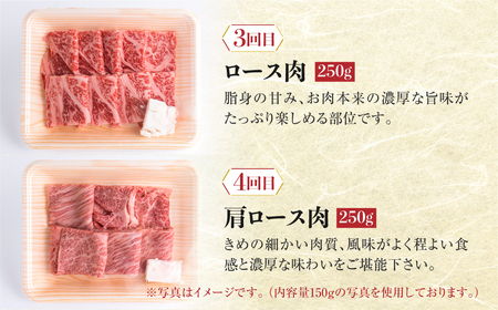 《定期便》飛騨牛 定期便 4回 焼肉 ちょこっと食べ比べ 定期便  [S401]　牛肉