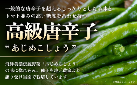 クロダ農園直送！国産 青唐辛子味噌 140g × 3個 旨辛 やみつきおかず味噌 [e62-a004]