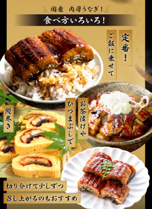 国産 鰻蒲焼200g2尾_ 国産 鰻 蒲焼 200g 2尾 ふっくら 肉厚 鮮度 地下水 ミネラル 秘伝のタレ 四度付け 甘め 特製 タレ 家庭 手軽 本格的な ご飯 お茶漬け ひつまぶし 鰻巻き 真空パック 湯煎 おかず 簡単調理 惣菜 おうちごはん お取り寄せ 福岡県 久留米市 送料無料 〔Cu031〕