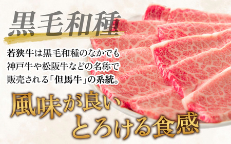 【福井県産 若狭牛】霜降 バラ 焼肉用 1kg
