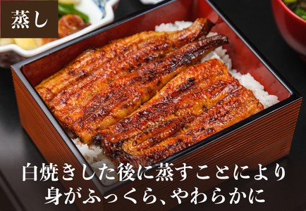 炭火焼うなぎ・長焼き2尾セット《1尾約150〜180ｇ×2、約25�p、たれ18ｇ×2個、山椒2袋》