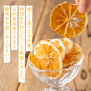 isa450 《数量限定》ドライフルーツ日向夏「そのまんまドライしました。」(計4袋・各20g) ドライフルーツ 日向夏 砂糖不使用 小分け 手づくり ギフト 加工食品 果物 フルーツ ハンドメイド ギフト【薩摩美食倶楽部】