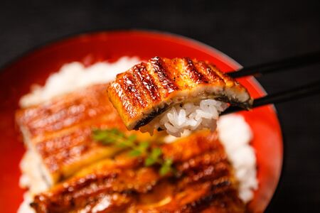 【JAにいがた南蒲コラボ】突破めし（2人前）難関突破米4合・炭火焼うなぎ2尾入り《1尾約150～180g×2、約25cm、たれ18g×2個、山椒2袋、難関突破米300g（2合）×2》老舗料亭の味 贈答 加茂市 日本料理きふね うなぎ 鰻 うなぎの蒲焼 うなぎ うなぎ うなぎ うなぎ うなぎ