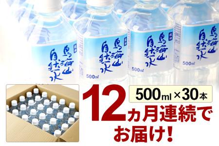《定期便12ヶ月》鳥海山自然水(500ml)30本×12か月連続 計360本