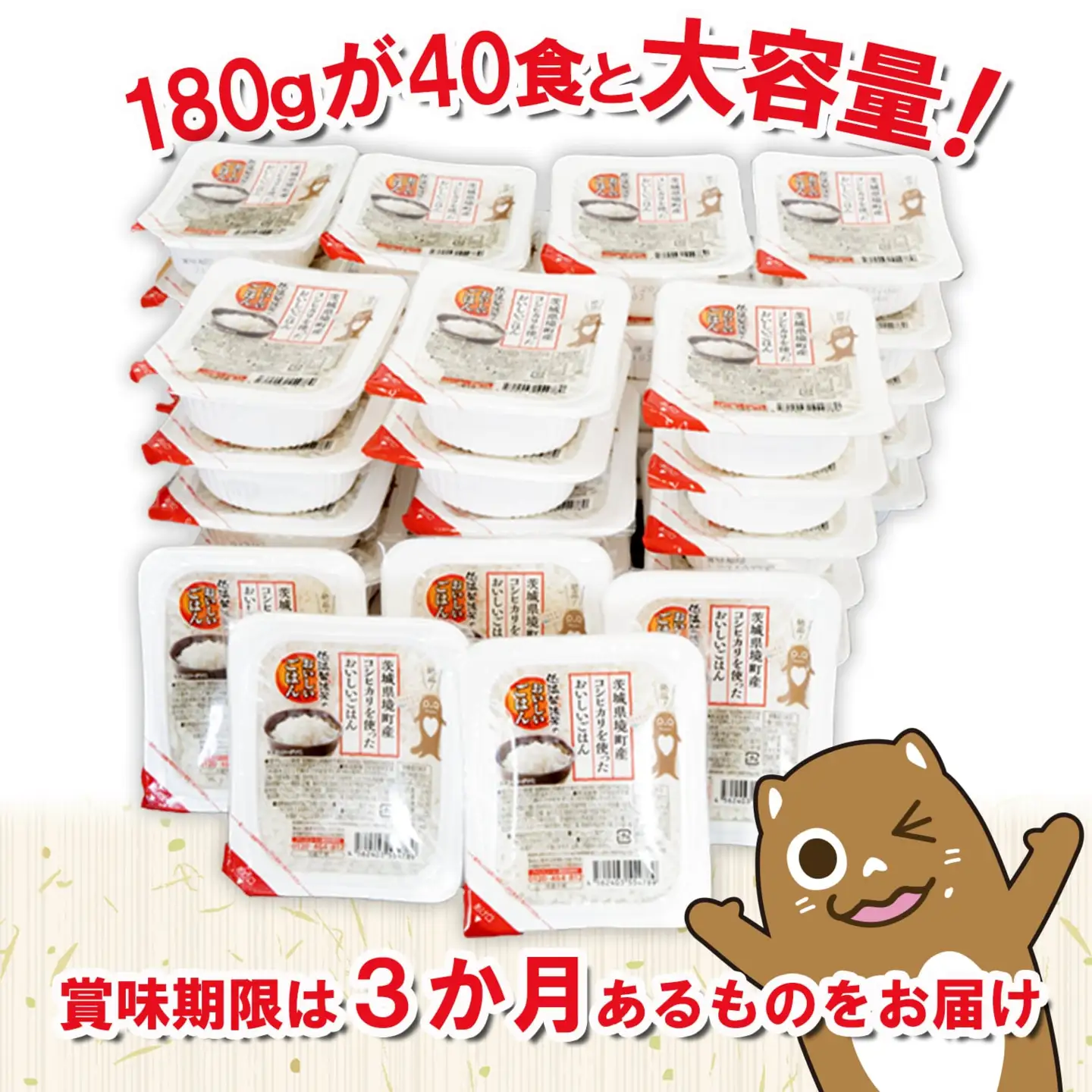 最短翌日発送 訳あり 茨城県境町産 コシヒカリ使用 パックごはん 40食 K1464