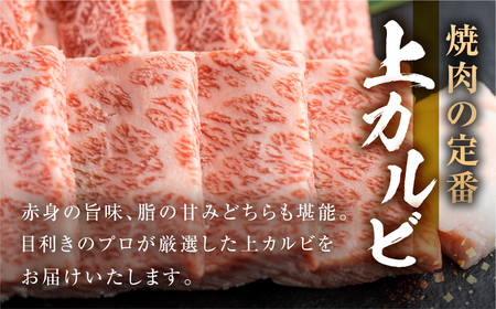 飛騨牛 焼肉用 上カルビ 300g JAひだ 飛騨牛 [S445]