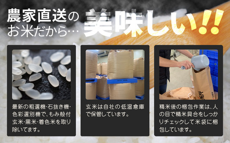 【先行予約】【令和8年産・新米】【玄米 5kg】 コシヒカリ 5kg 【2026年10月上旬以降順次発送】 [A-8934_02]