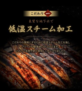 鰻小食パック驚愕の8人前_うなぎ 小食 パック 8人前 計約800g 蒲焼 うなぎ巻き ひつまぶし お茶漬け 簡単調理 湯煎 ギフト お土産 お祝い ご褒美 グルメ 惣菜 冷凍 お取り寄せ 福岡県 久留米市 送料無料 〔Cu032〕