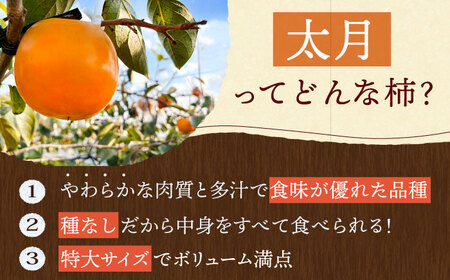 【先行予約】【10月中旬～11月下旬発送】種なし柿 太月・渋抜き柿 3kg【小林農園】[HAX001]かき 果物 フルーツ