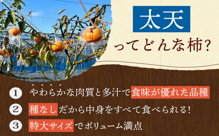 【先行予約】【10月下旬～12月上旬発送】種なし柿 太天・渋抜き柿3kg【小林農園】HAX002 かき 果物 フルーツ