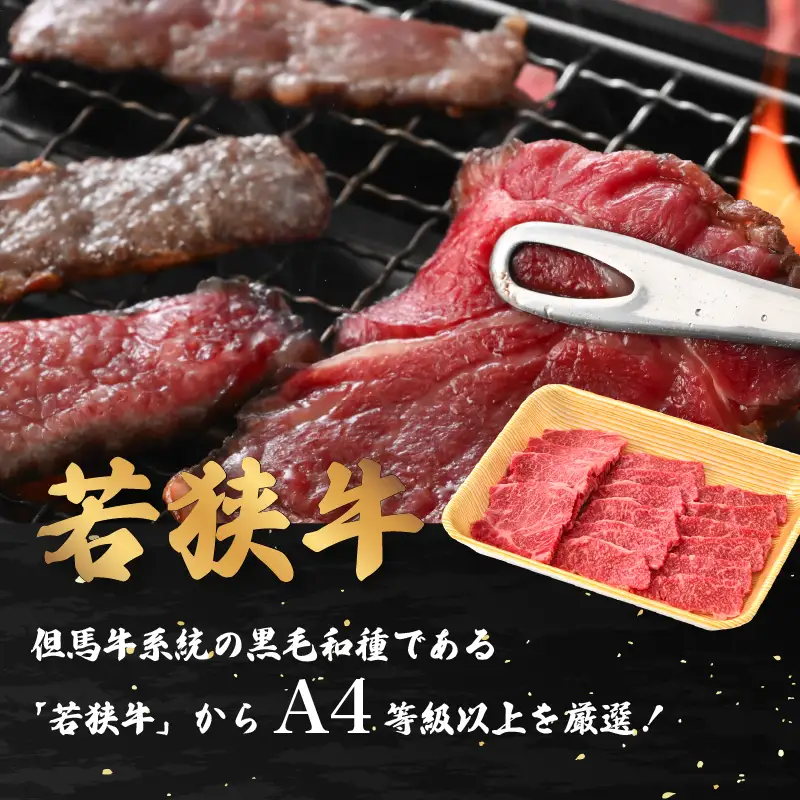 【ブランド肉】若狭牛 和牛肩ロース 焼肉用 計500ｇ 国産肉 冷凍 [e02-b009]