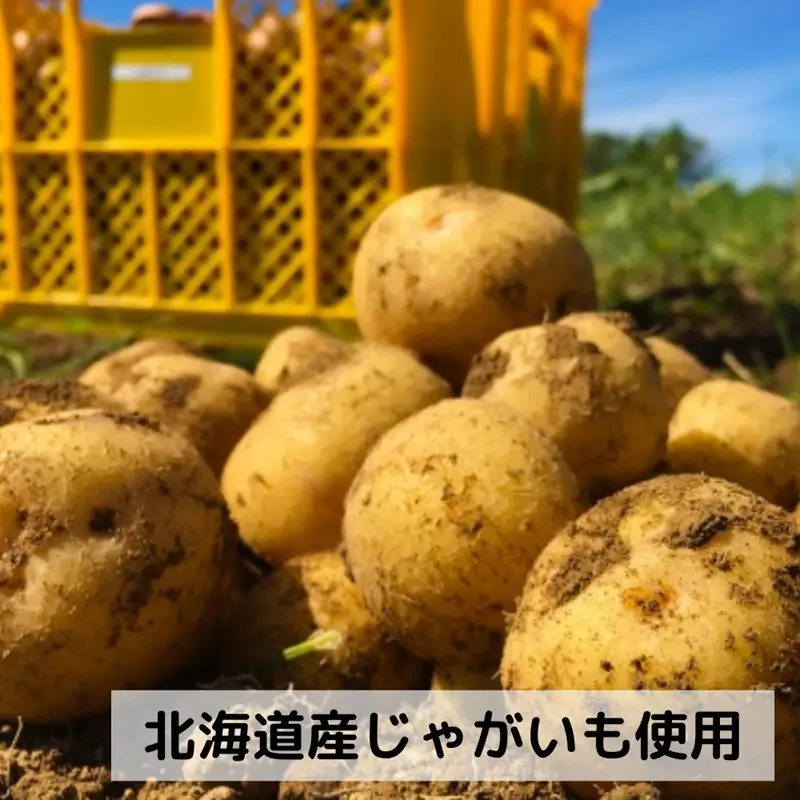 《14営業日以内に発送》大地の恵み北海道じゃがバタースープ 8袋×9箱 ( スープ じゃがバター じゃがいもスープ 即席 ふるさと納税 )【125-0035】