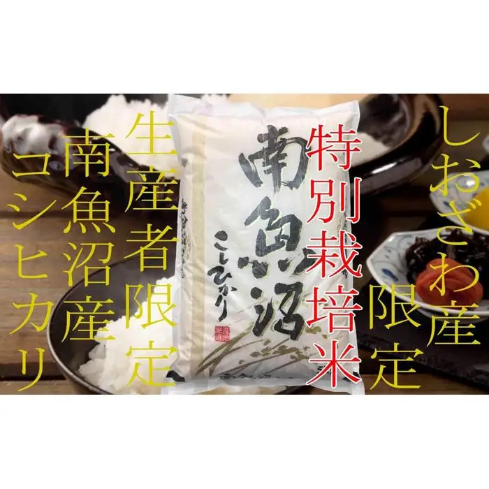 【令和7年産】【定期便2kg×6ヶ月】特別栽培 しおざわ産限定 生産者限定 南魚沼産コシヒカリ【定期便 銘柄米 ブランド米 精米 こしひかり コシヒカリ 魚沼産 新潟米 産地直送 お米 米 こめ コメ ご飯 御飯 ごはん】