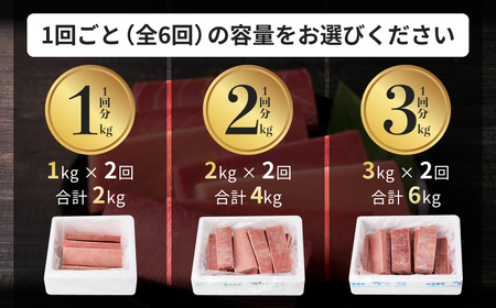 【 訳あり 】【 全2回定期便 】【 1kgを2回お届け】（ 徳用 ） 老舗 三崎 まぐろ 問屋 から直送！ 新鮮 天然マグロ 赤身 1kg 定期便2回 M063-T01 【 訳アリ 】 冷凍 マグロ 定期便