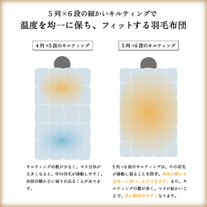 スリーシーズン 快適羽毛ふとん ホワイトダックダウン 85％ ローリエ柄 (シングル) ブルー