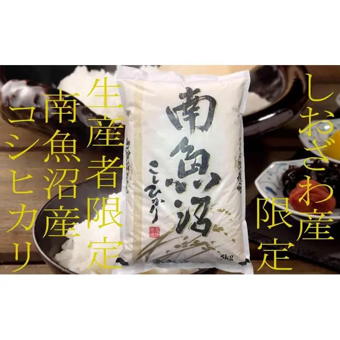 【令和7年産】【定期便20kg×9ヶ月】しおざわ産限定 生産者限定 南魚沼産コシヒカリ【定期便 銘柄米 ブランド米 精米 こしひかり コシヒカリ 魚沼産 新潟米 産地直送 お米 米 こめ コメ ご飯 御飯 ごはん】