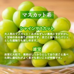 【令和8年産】ぶどう 2種類 セット 品種おまかせ 2kg 3～4房入 食べ比べ 旬 朝採れ 種無し 兵庫県産 農家直送  果物 果物類 フルーツ デザート ギフト 詰め合わせ  化粧箱入り 甘い