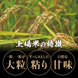 【予約受付】＜令和8年度産 新米＞超新米定期便（5kg×2回）【Z051】