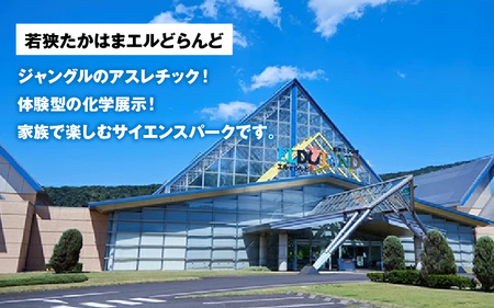 「若狭たかはまエルどらんど」空中アスレチック体験チケット(高校生以上)2枚