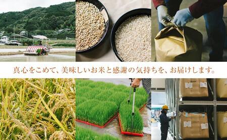 【特A評価獲得！令和7年産】長崎県産 にこまる 10kg（5kg×2袋）セット