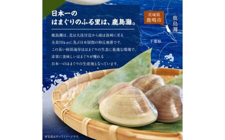はまぐり 鹿島灘はまぐり 8~12粒程度 【 はまぐり 】
