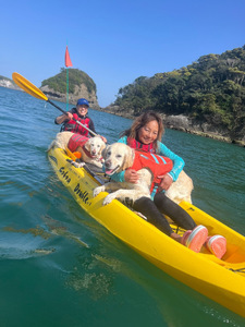 愛犬と一緒にシーカヤック 湊カフェ＆Pirates 施設利用券〈6,000円分〉　【 カヤック 犬 】