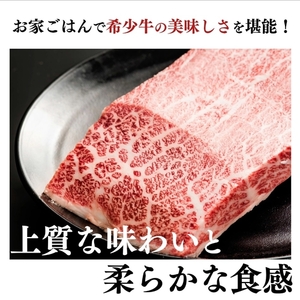 (冷凍) 大和牛 ステーキ サーロイン (250g×2枚) ／ 金井畜産 焼肉 キャンプ バーベキュー アウトドア 贈答 父の日 母の日 奈良県 宇陀市 お中元 贈答用 贈り物 暑中見舞い お土産 お歳暮 内祝い 美味しい部位 送料無料 ふるさと納税