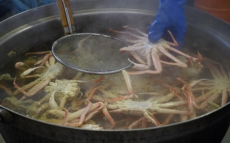 訳あり ゆでオオズワイガニ約2kg(8尾前後入)[02-1306] | 北海道浦河町