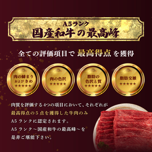 牛肉 焼肉 A5 ランク 米沢牛 500g [佐貝肉店 山形県 高畠町 tk06ayt260002]
