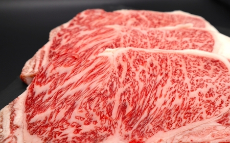 【肉の横綱】伊賀牛サーロインステーキ 150g×3枚【ymmt0006】