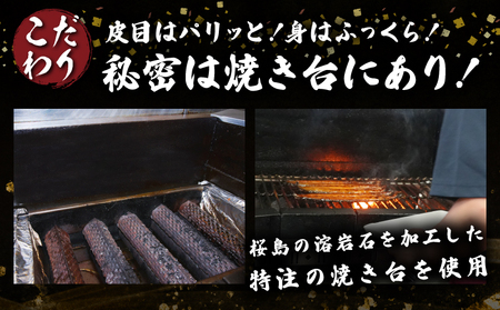 職人 手焼き うなぎ蒲焼 1尾 計130g以上 鰻 魚介類 伝統の味 秘伝のタレ 厳選 国産 ウナギ おかず 食品 加工品 真空パック 冷蔵 人気 おすすめ うな重 うな丼 惣菜 お土産 ひつまぶし うなぎ寿司 お祝い 贈り物 ギフト 贈答 プレゼント 宮崎県 日南市 送料無料_BA51-23