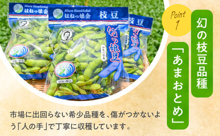 【先行予約】【数量限定100セット】はねっ娘枝豆 3kg（300g×10袋） [AKCZ002]