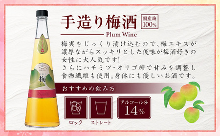 手造り梅酒 14% 720ml×2本セット 梅酒 酒 アルコール 梅酒セット セット 詰め合わせ ロック ストレート 贈答 贈答用 ギフト プレゼント お祝い 祝い 内祝い 記念日 誕生日 お取り寄せ グルメ 家飲み 宅飲み 飲み会 国産 宮崎県 高千穂町 _Tk007-028