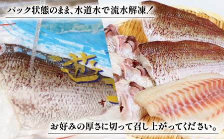 真鯛セット 遊子支所 真鯛 D012-022004