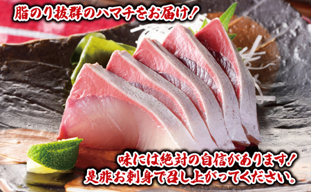 ハマチ 計 1kg 愛媛県漁業協同組合遊子支所ﾊﾏﾁD012-022005